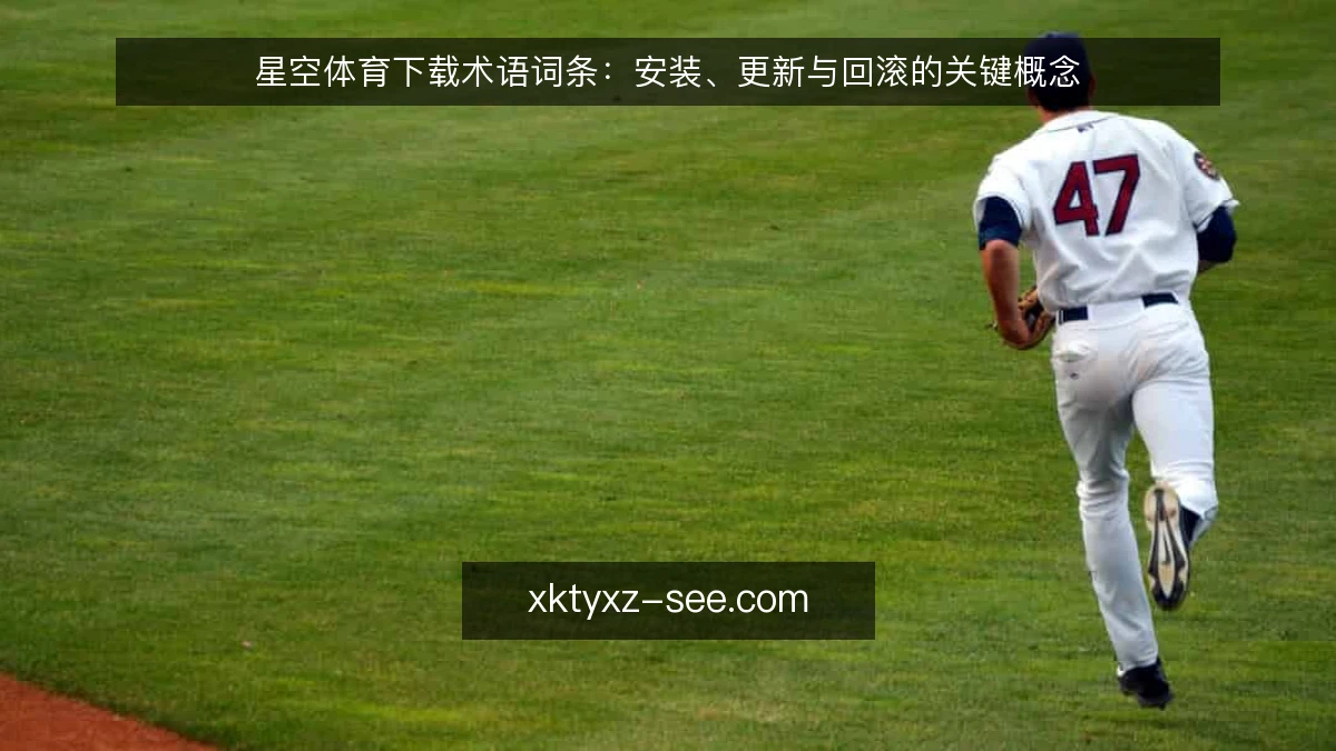 星空体育下载术语词条:安装、更新与回滚的关键概念