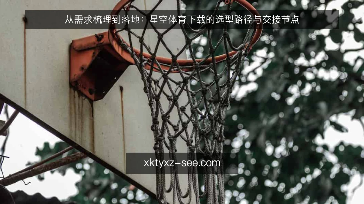 从需求梳理到落地：星空体育下载的选型路径与交接节点