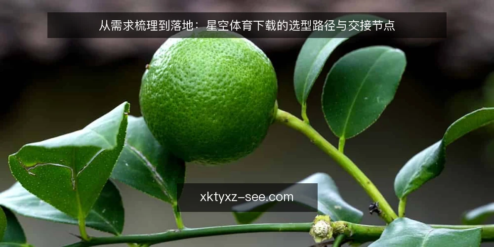 从需求梳理到落地：星空体育下载的选型路径与交接节点 — 界定使用场景与边界 配图
