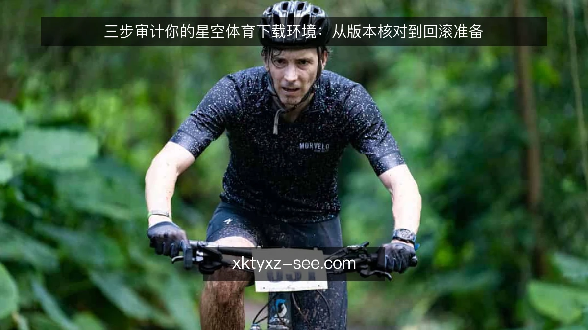 三步审计你的星空体育下载环境：从版本核对到回滚准备