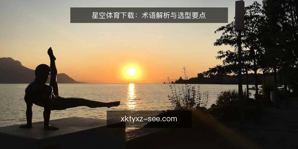 星空体育下载:术语解析与选型要点 — 术语界定:星空体育下载 配图