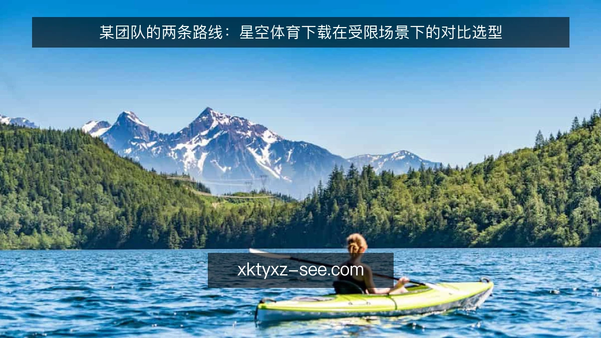 某团队的两条路线:星空体育下载在受限场景下的对比选型